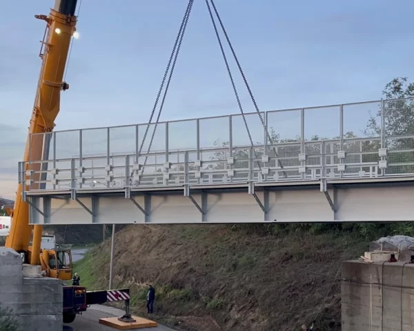 Works on the replacement of the existing steel structure with a new steel structure of the bridge at km 4+871.5 on railway no. 219: (Nis) – Prahovo Prist.